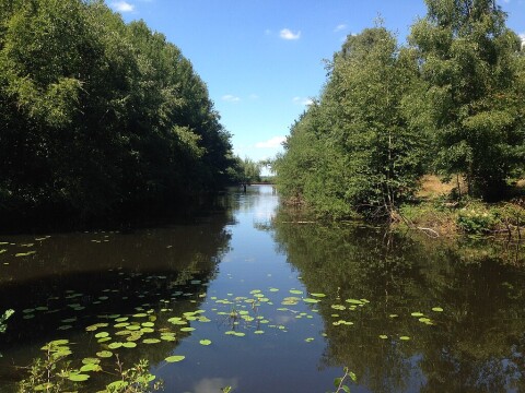 1024px Veenpark natuur   4