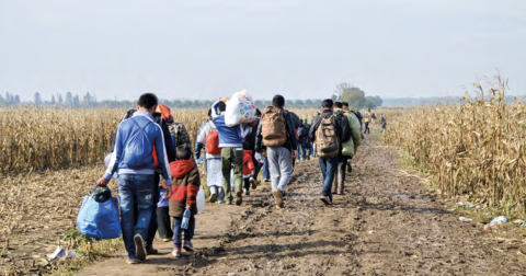 Scherm&shy;afbeelding 2025 09 08 om 11.53.53