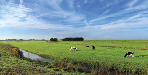 Scherm&shy;afbeelding 2025 09 15 om 15.39.54