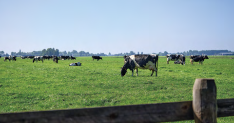 Scherm&shy;afbeelding 2025 10 08 om 19.32.59