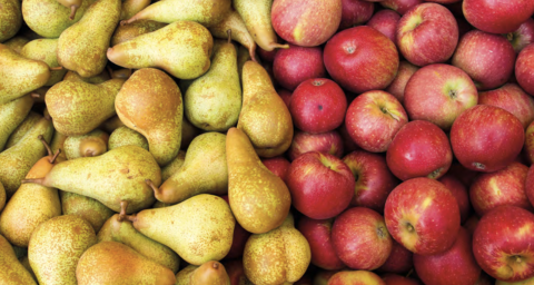 Scherm&shy;afbeelding 2025 10 09 om 13.40.26